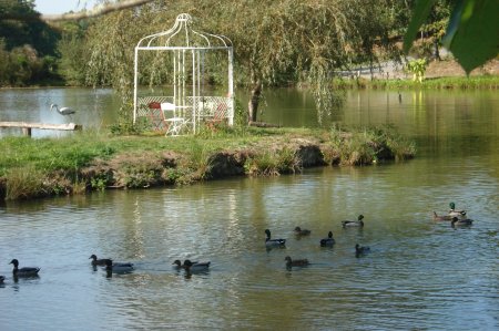 L'étang de Nadine et Georges MACARY  pour concours de pêche à Concèze. Etang privé de 1 ha pour la pêche situé a moins d'un km du gîte de Leycuras